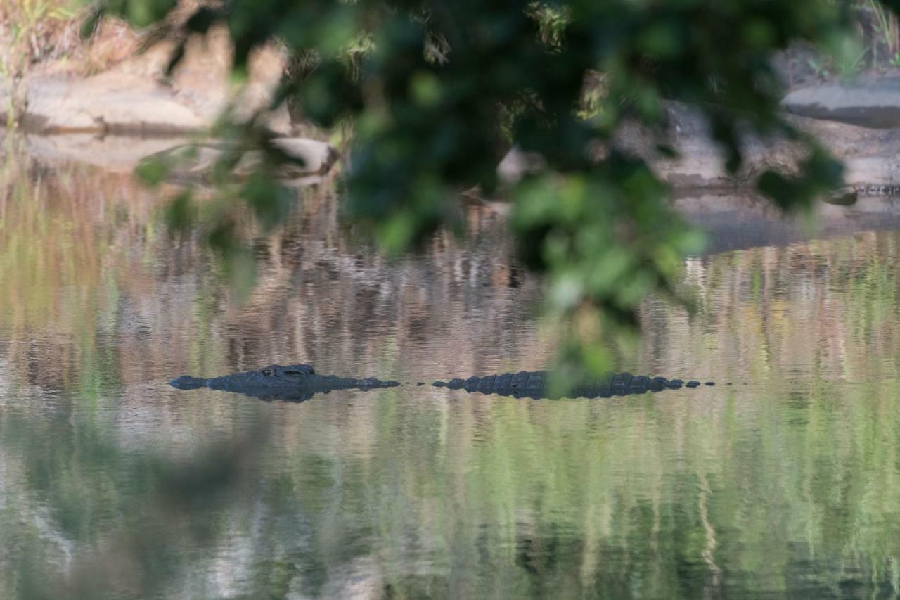 Rukiya Safari Camp Villa Hoedspruit Eksteriør billede