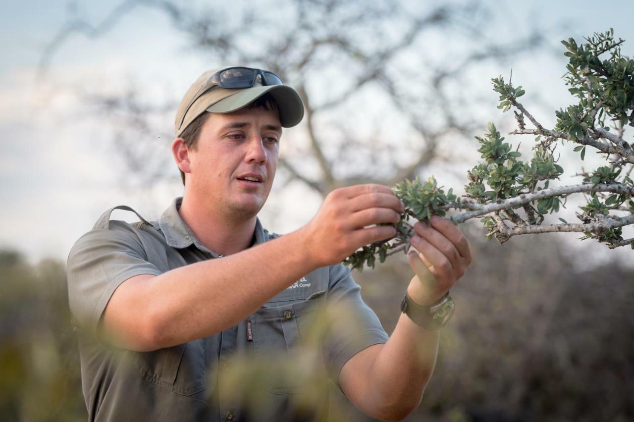 Rukiya Safari Camp Villa Hoedspruit Eksteriør billede